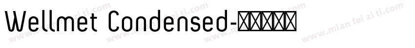 Wellmet Condensed字体转换